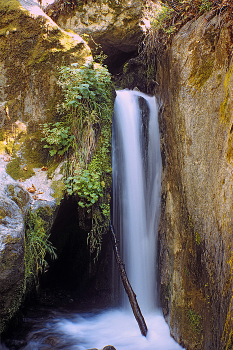 McWay Creek Falls 2 by Gary Brandes McWay Creek Falls 2 by Gary Brandes